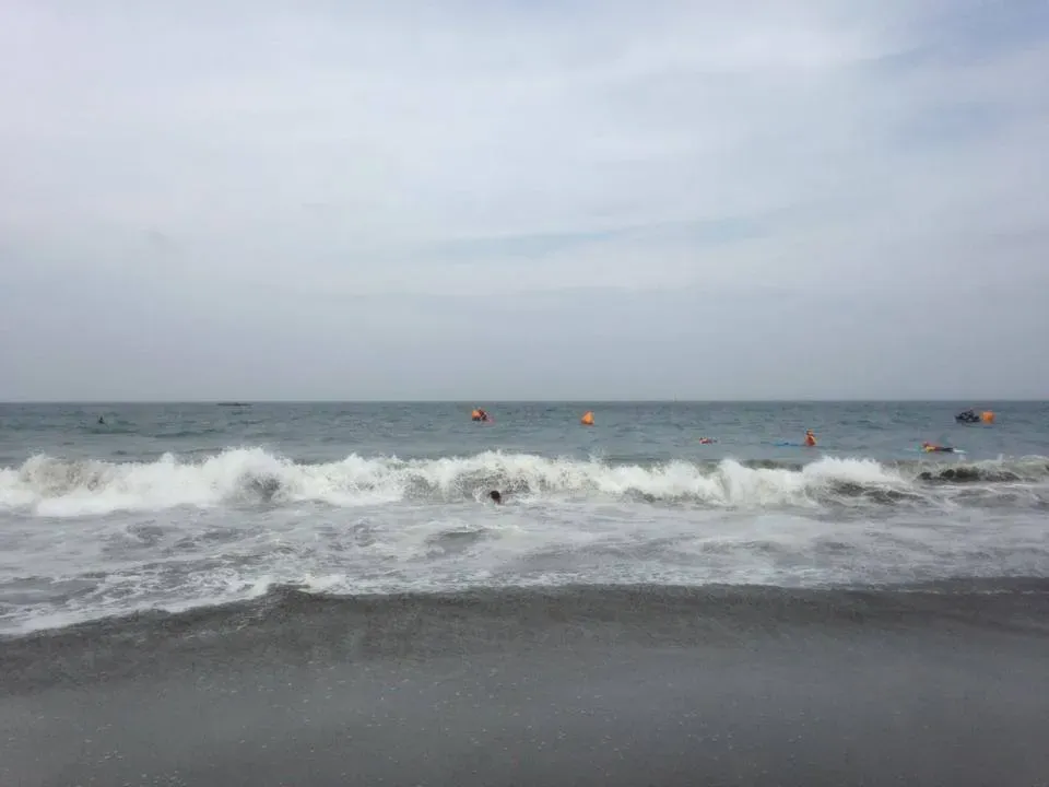 Cover Image of the Post