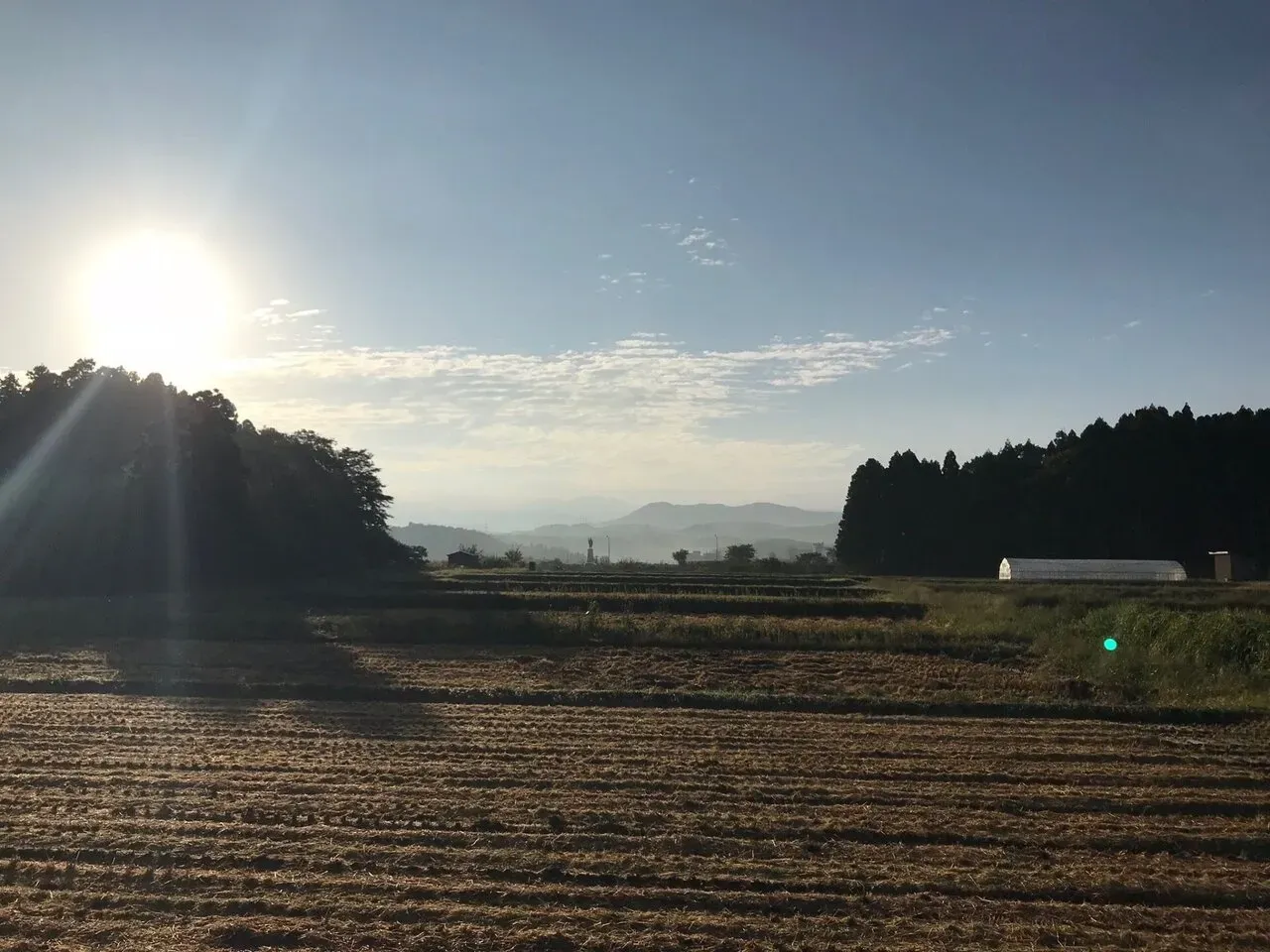 2017 小松鉄人レース 鉄人の部 エイジ3位 - 画像5