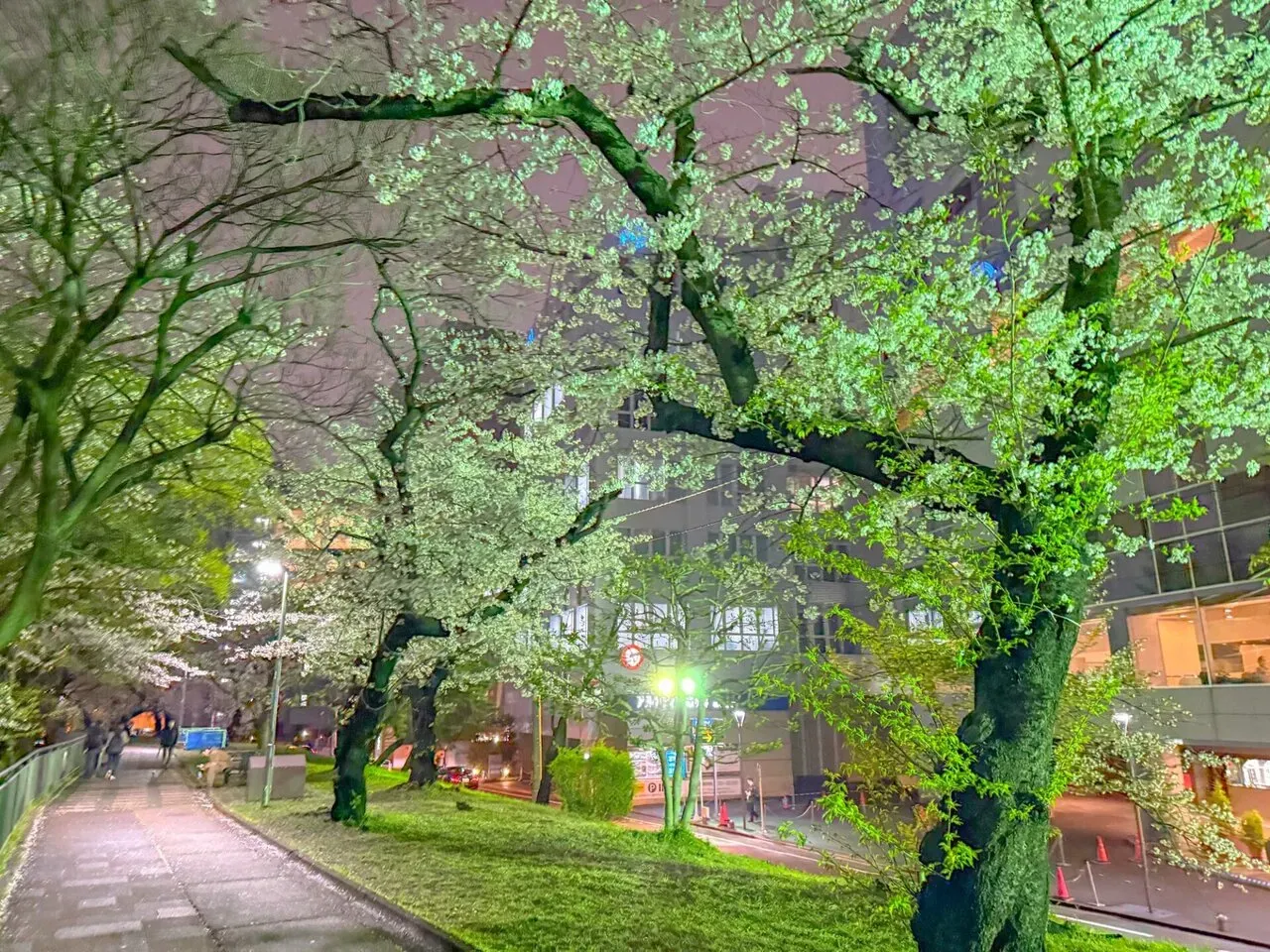 お花見ランコース　夜でも昼でもOK - 画像3