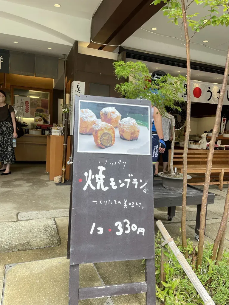 藤沢<=>芦ノ湖 120km 練習会に付いていきました - 画像4