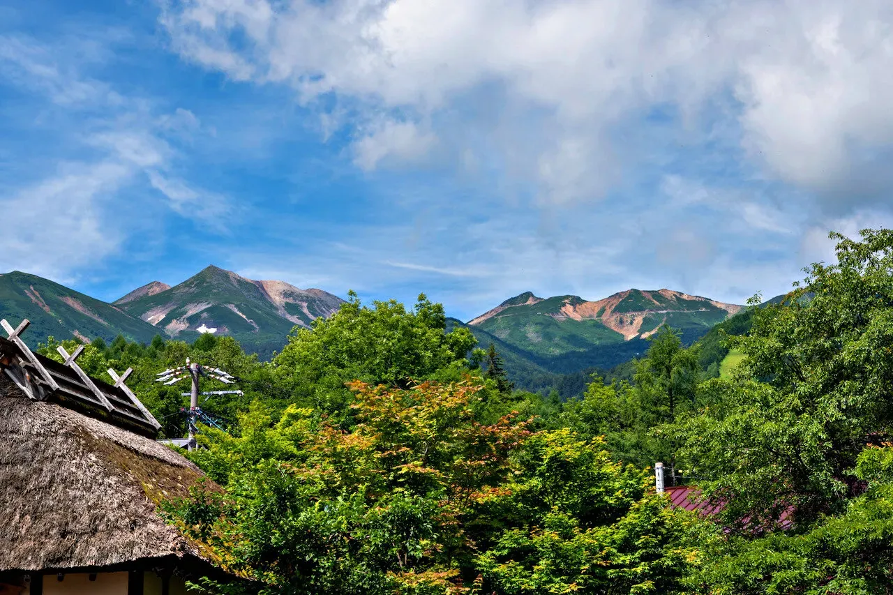 Cover Image of the Post