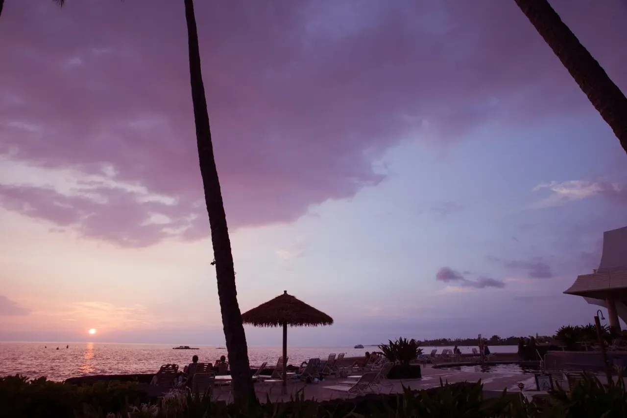 ヤシの木越しに見るコナの紫色の夕焼け