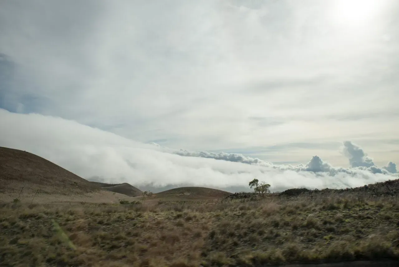 IRONMAN World Championship旅行記 (5/6)日目 – 世界一の星空 - 画像7