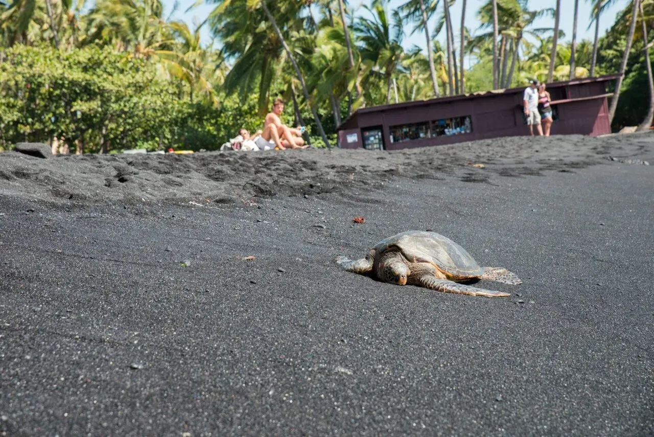 IRONMAN World Championship旅行記 (6/6)日目 – ハワイ島1周 - 画像24