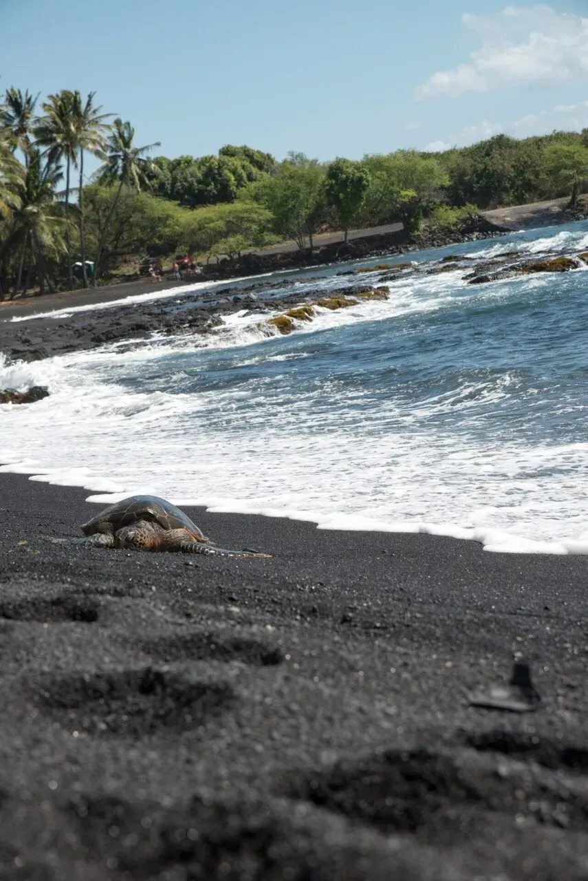 IRONMAN World Championship旅行記 (6/6)日目 – ハワイ島1周 - 画像26