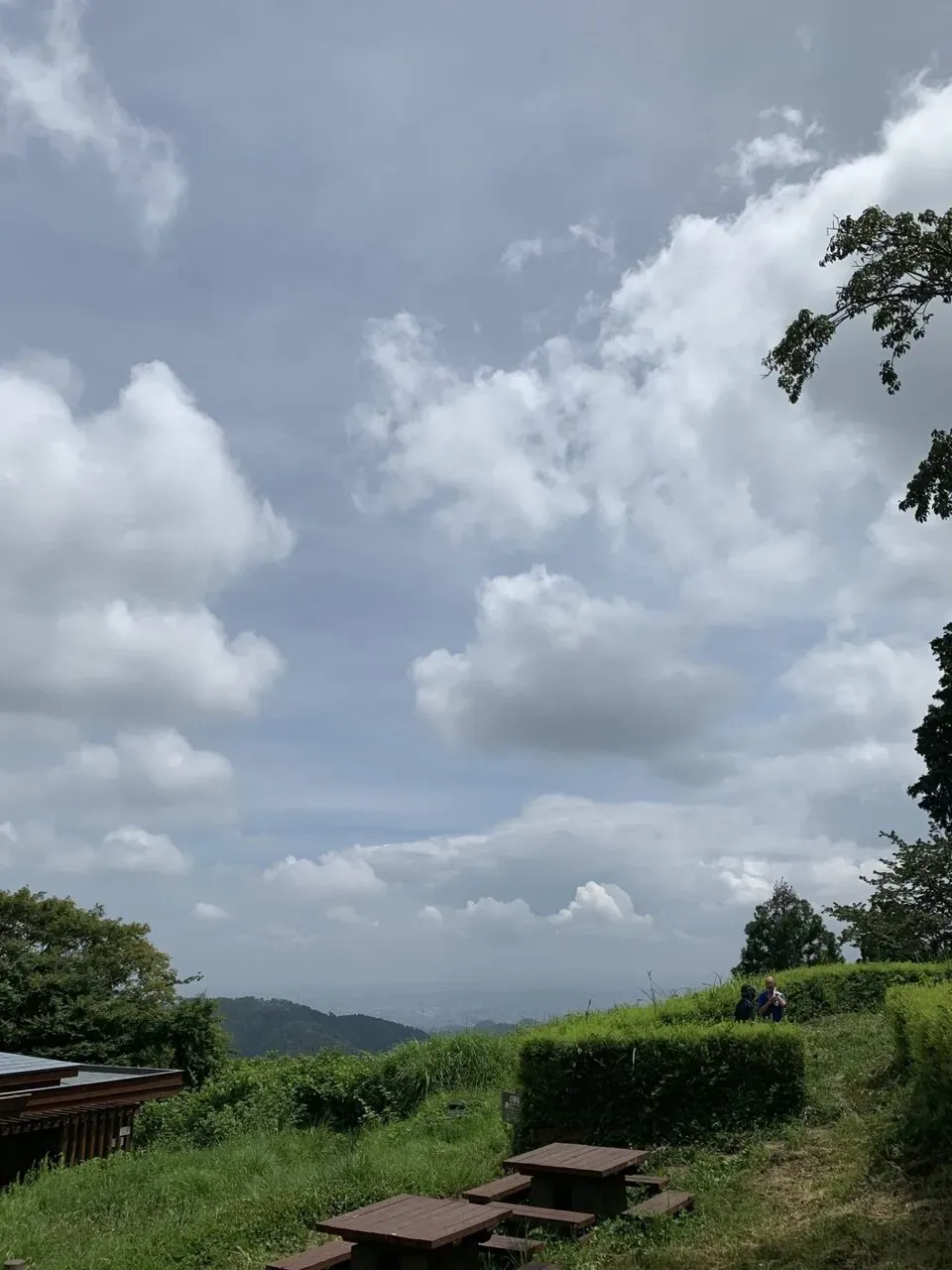 山の日なので高尾山へ自走で行ってトレラン - 画像6