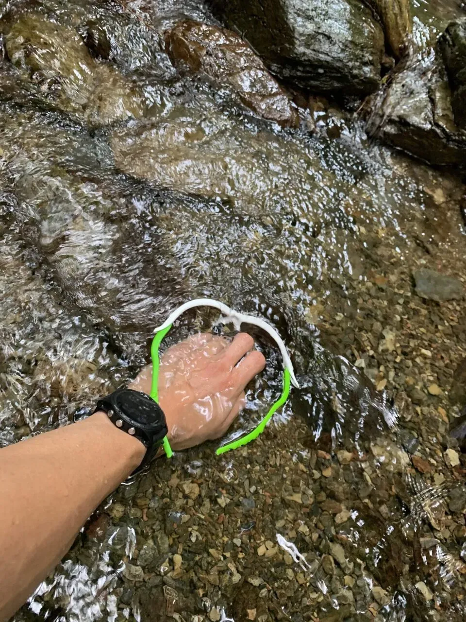 山の日なので高尾山へ自走で行ってトレラン - 画像9