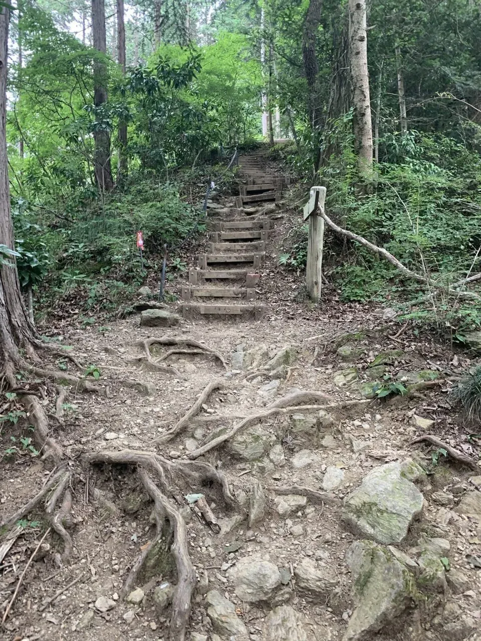 山の日なので高尾山へ自走で行ってトレラン - 画像15