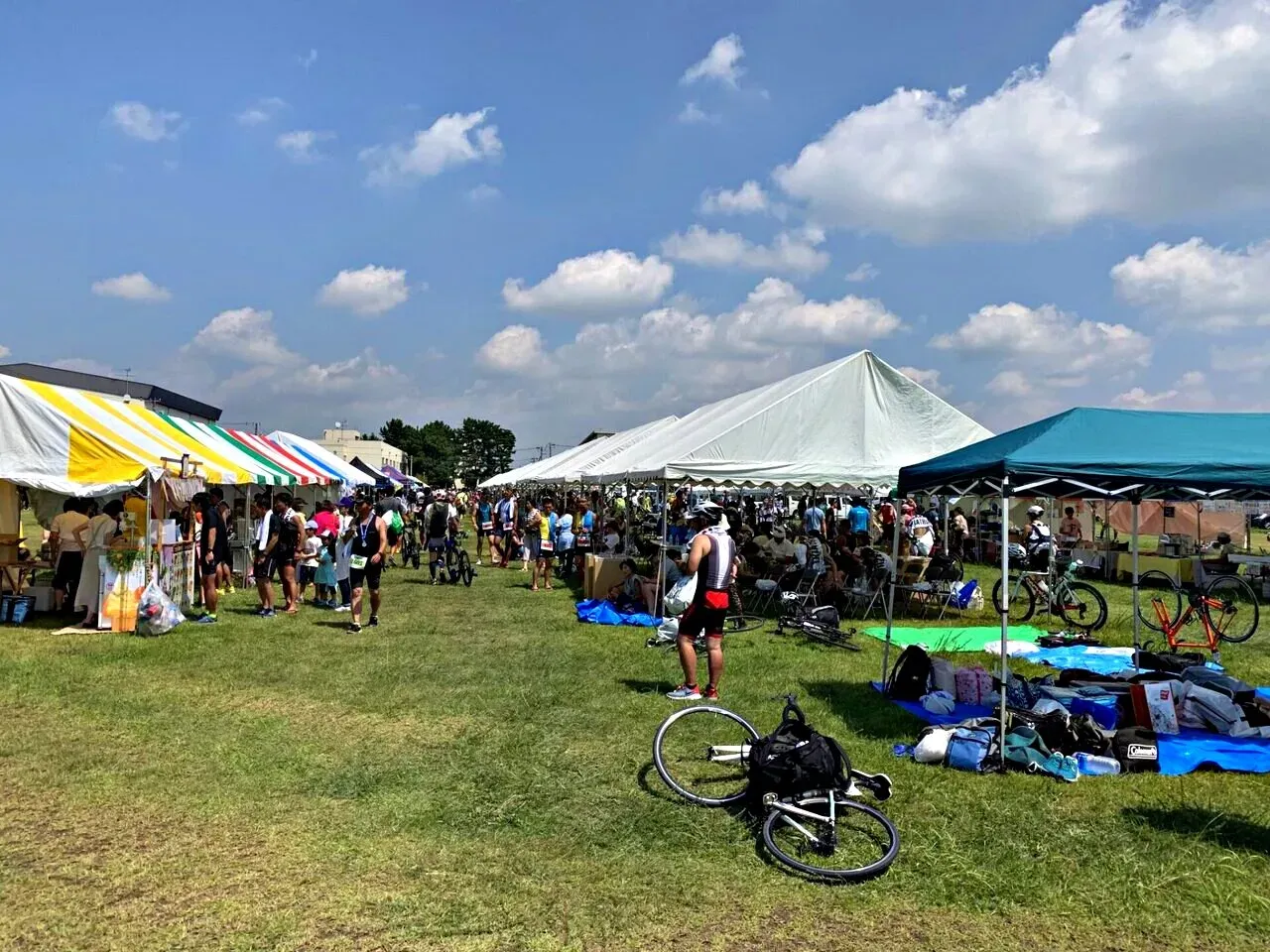 Cover Image of the Post