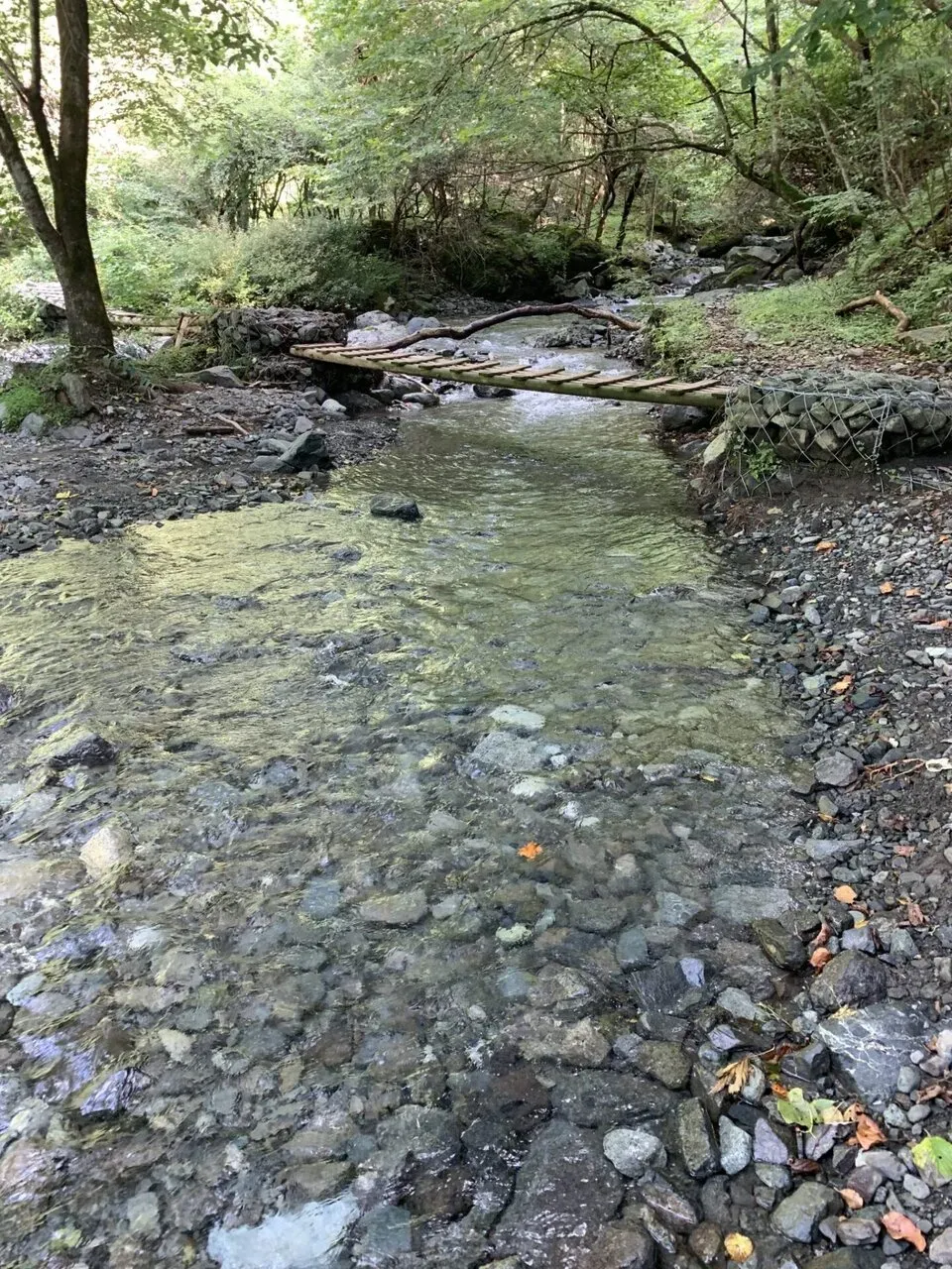 丹沢へ登山トレーニング - 画像26