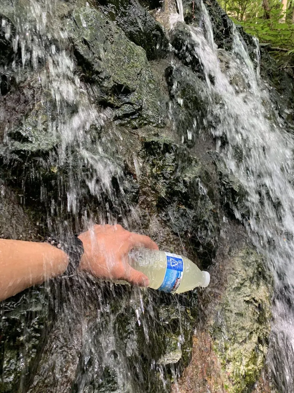 丹沢へ登山トレーニング - 画像25