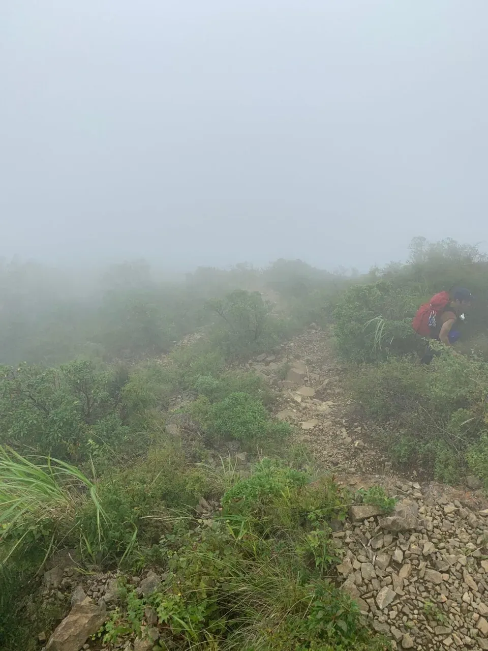 丹沢へ登山トレーニング - 画像19