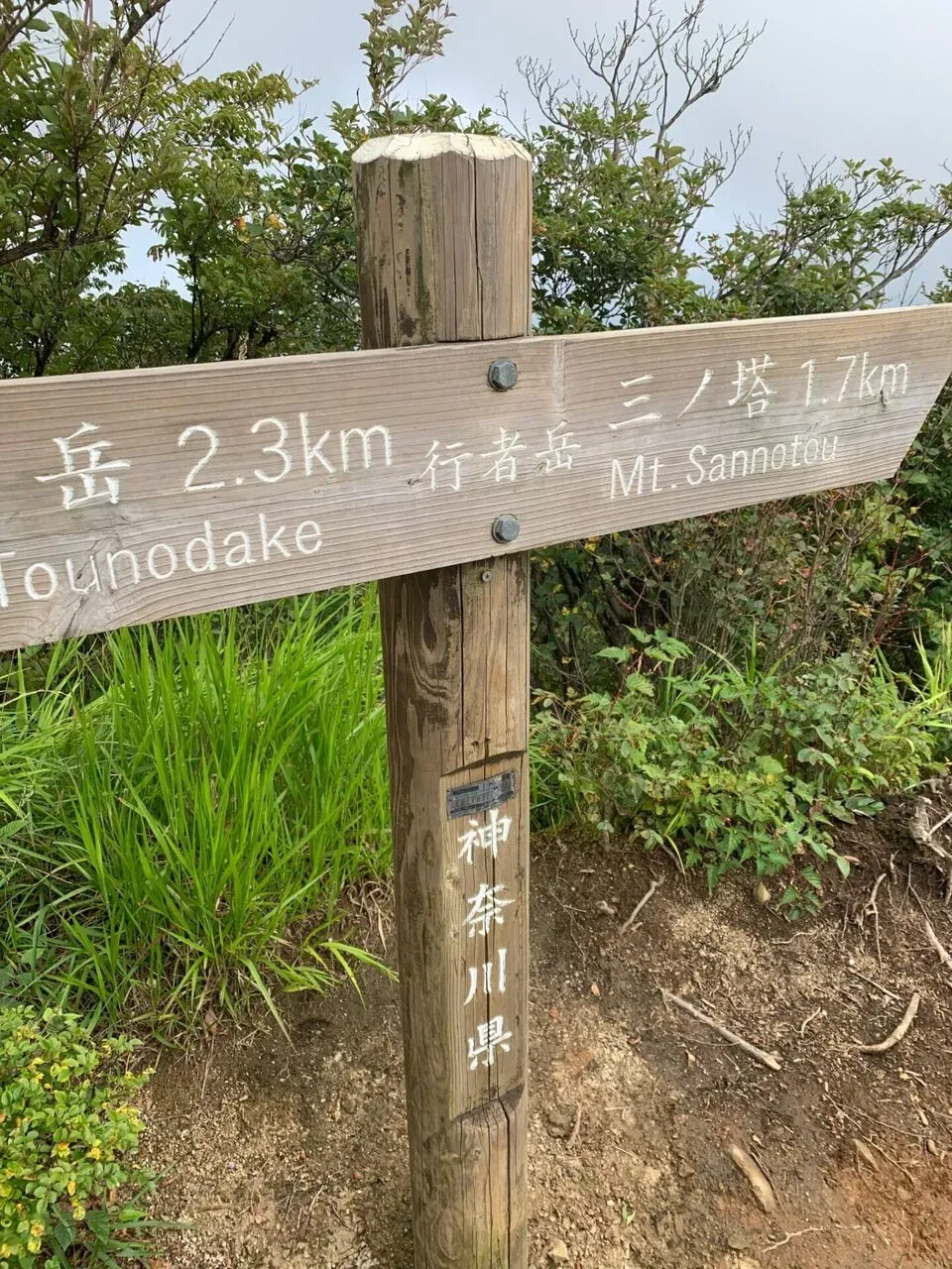 丹沢へ登山トレーニング - 画像17