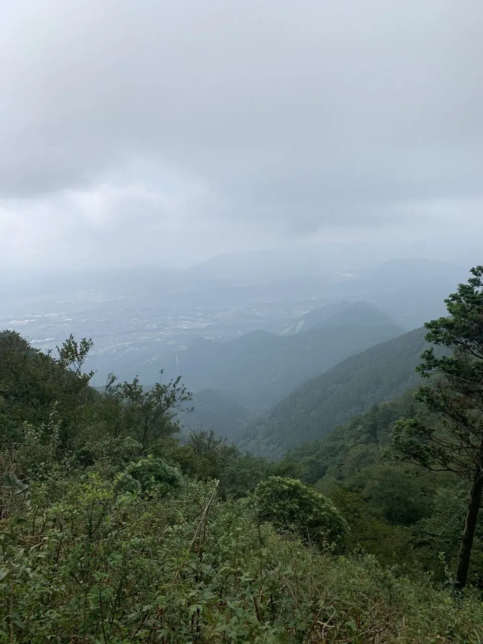 丹沢へ登山トレーニング - 画像13