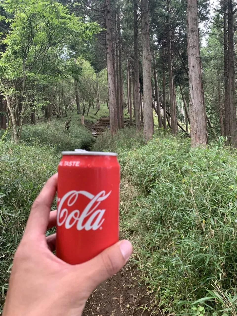 丹沢へ登山トレーニング - 画像11