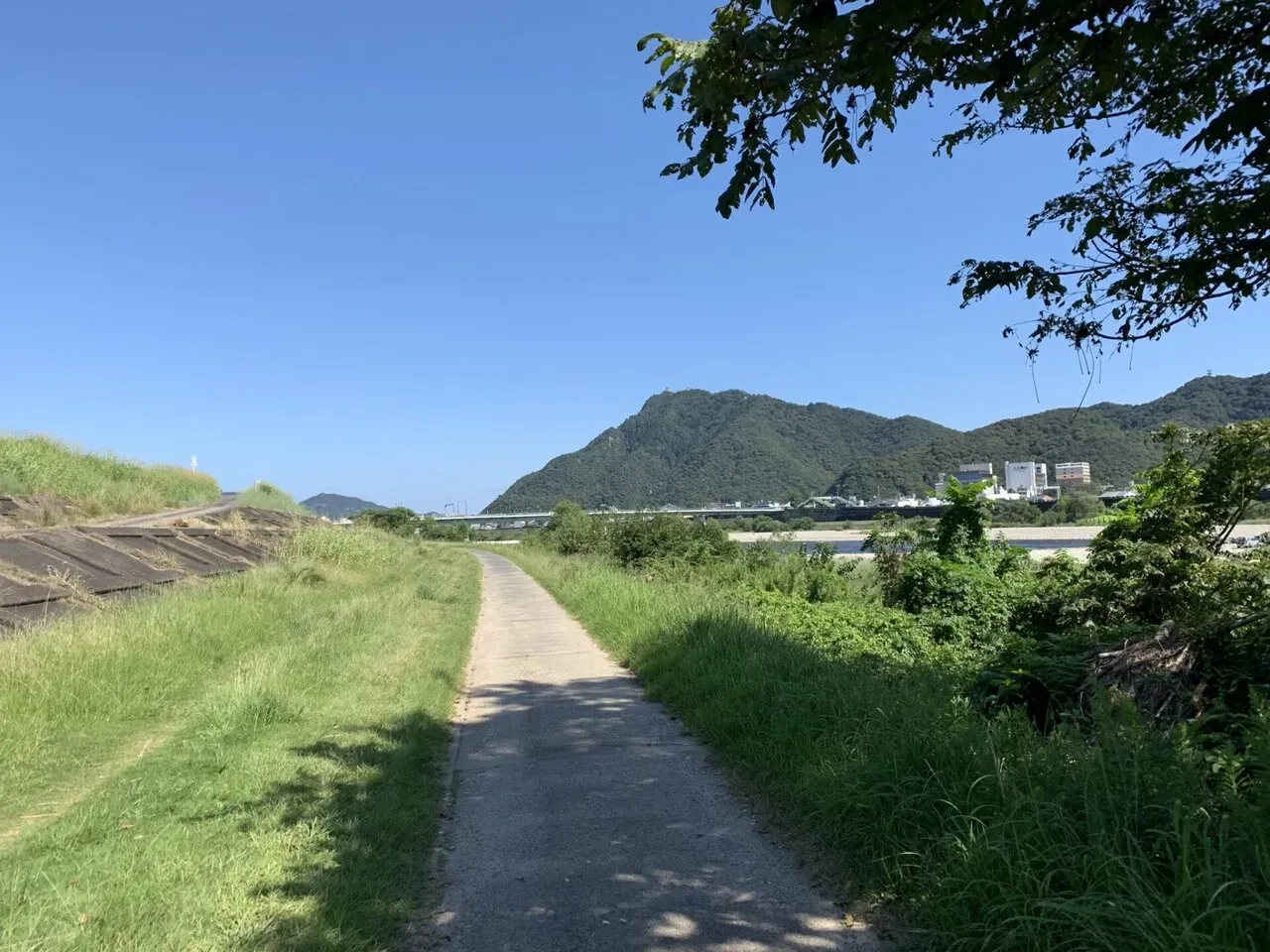 金華山+舟伏山トレラン - 画像3