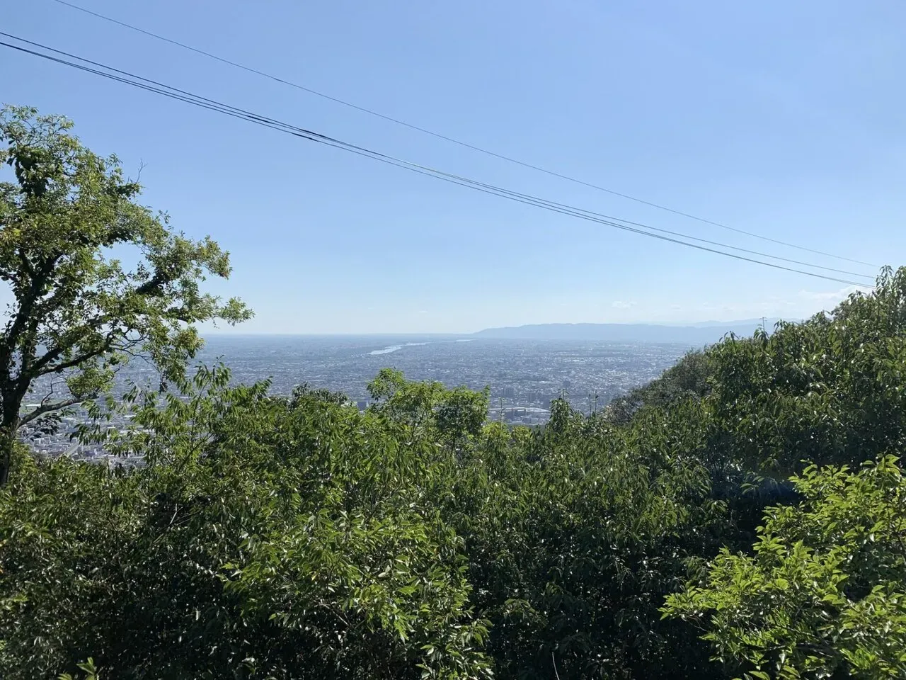 金華山+舟伏山トレラン - 画像7