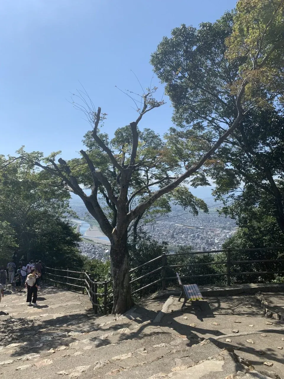 金華山+舟伏山トレラン - 画像10