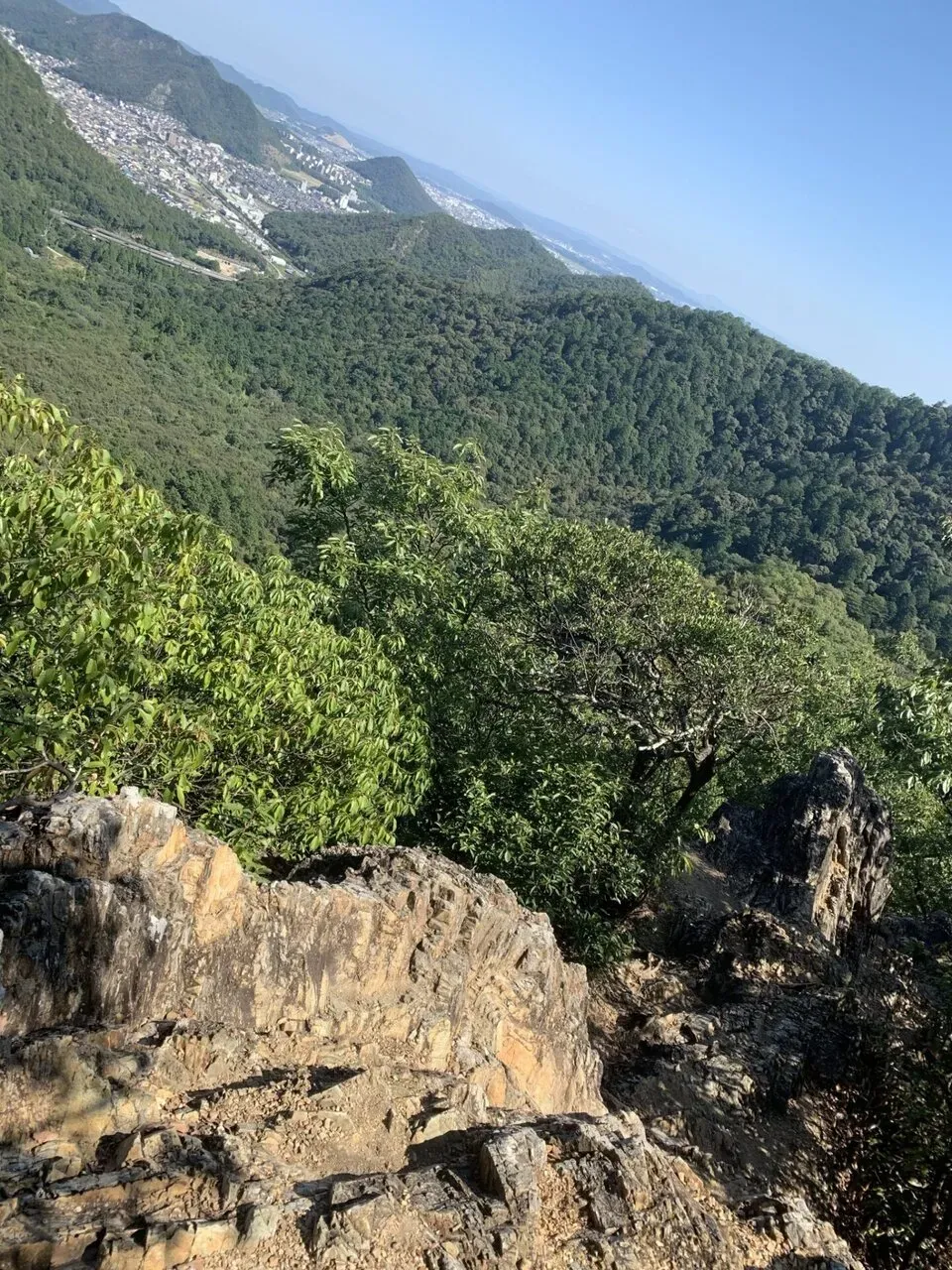 金華山+舟伏山トレラン - 画像13