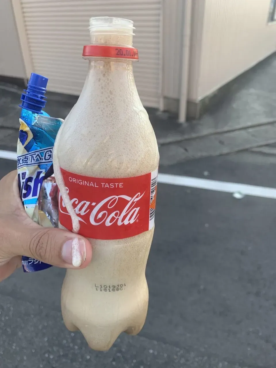 金華山+舟伏山トレラン - 画像16