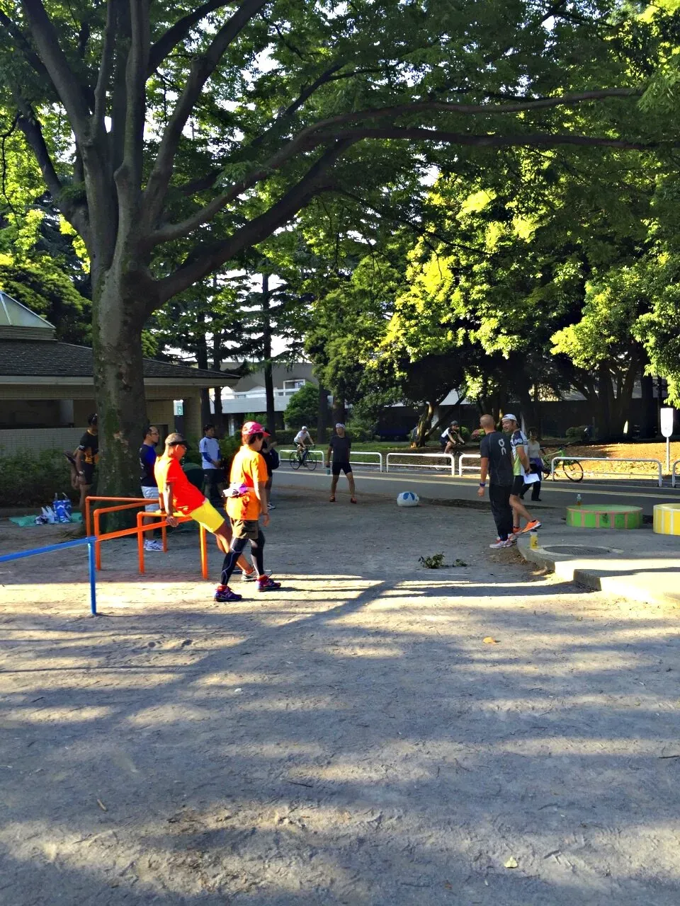 Cover Image of the Post