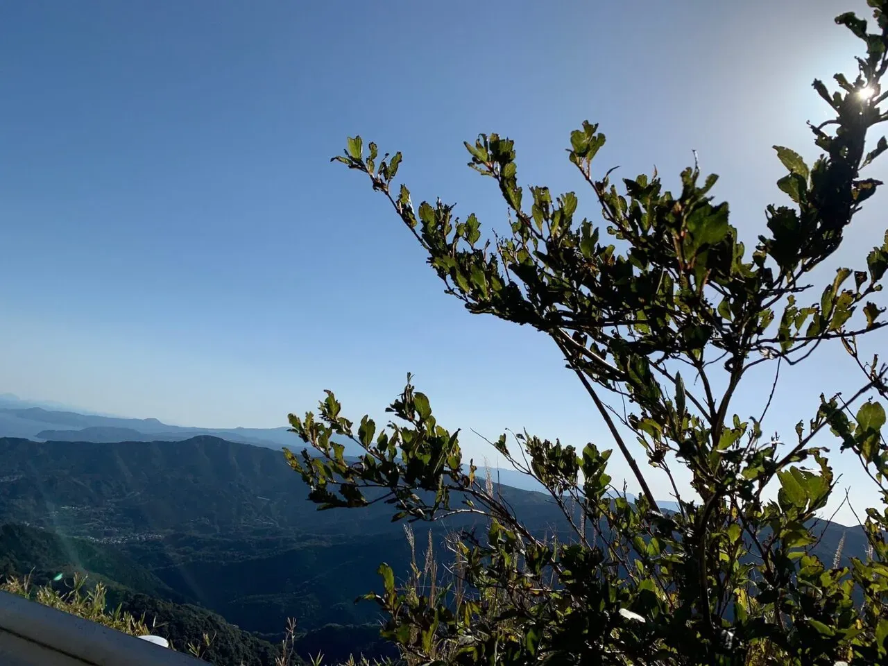 葉山 <-> 箱根 150km 1450m up トレーニング - 画像7