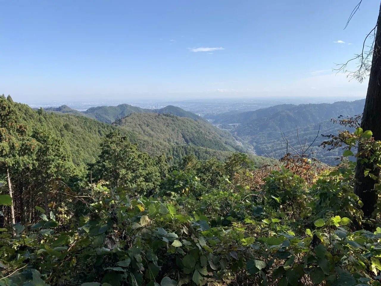 高尾陣馬トレラン トレーニング 28km - 画像22