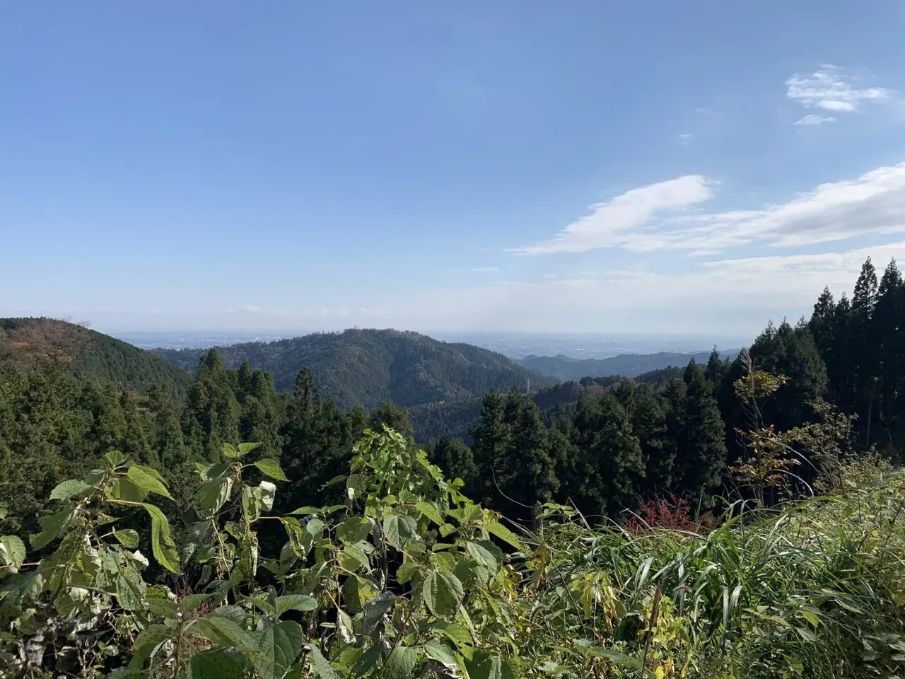 高尾陣馬トレラン トレーニング 28km - 画像24