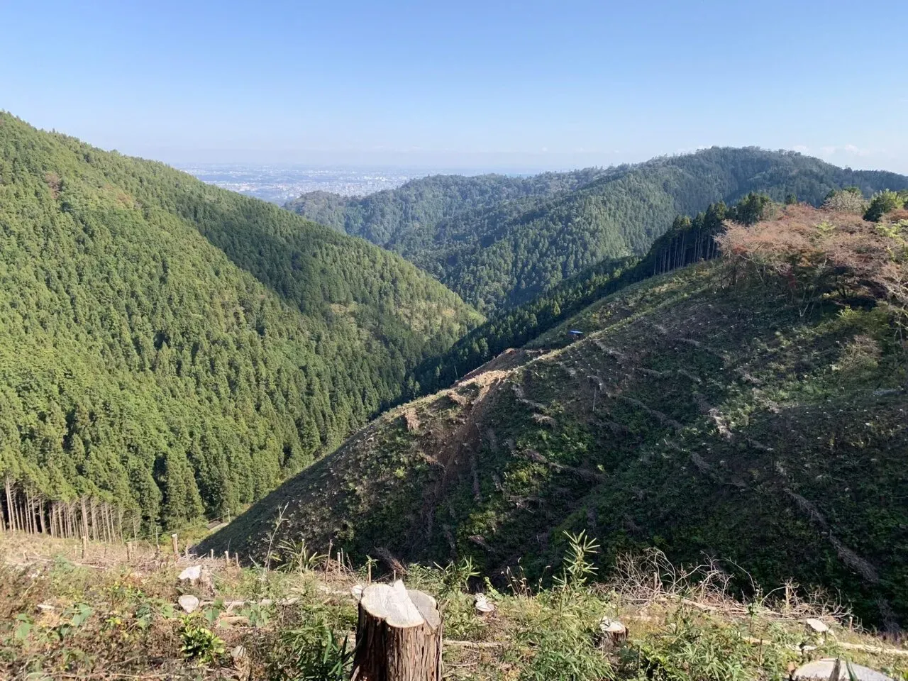 高尾陣馬トレラン トレーニング 28km - 画像25