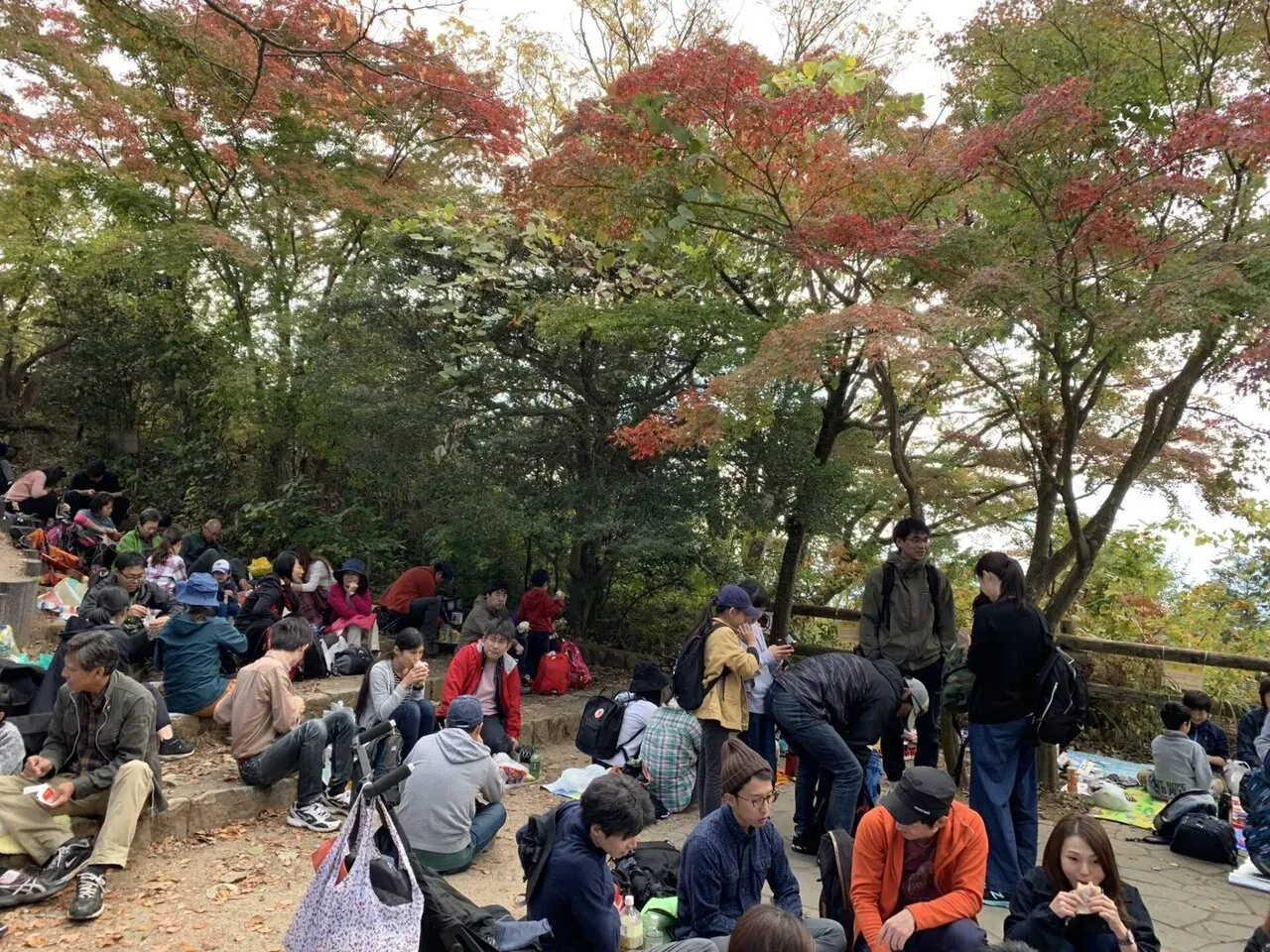 高尾陣馬トレラン トレーニング 28km - 画像26
