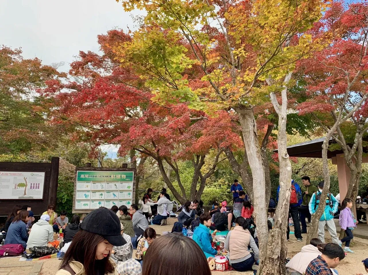 高尾陣馬トレラン トレーニング 28km - 画像29