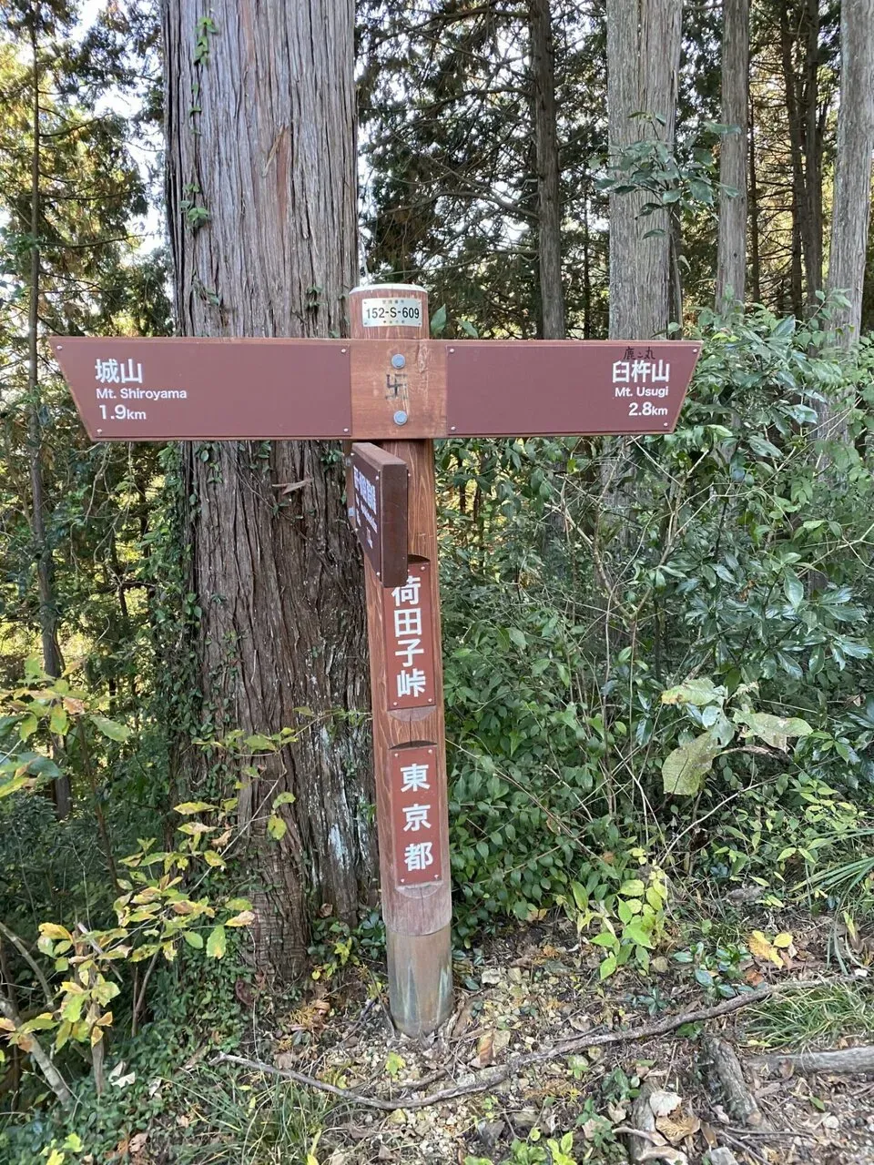 陣馬・高尾山トレランでAPRS運用 - 画像11