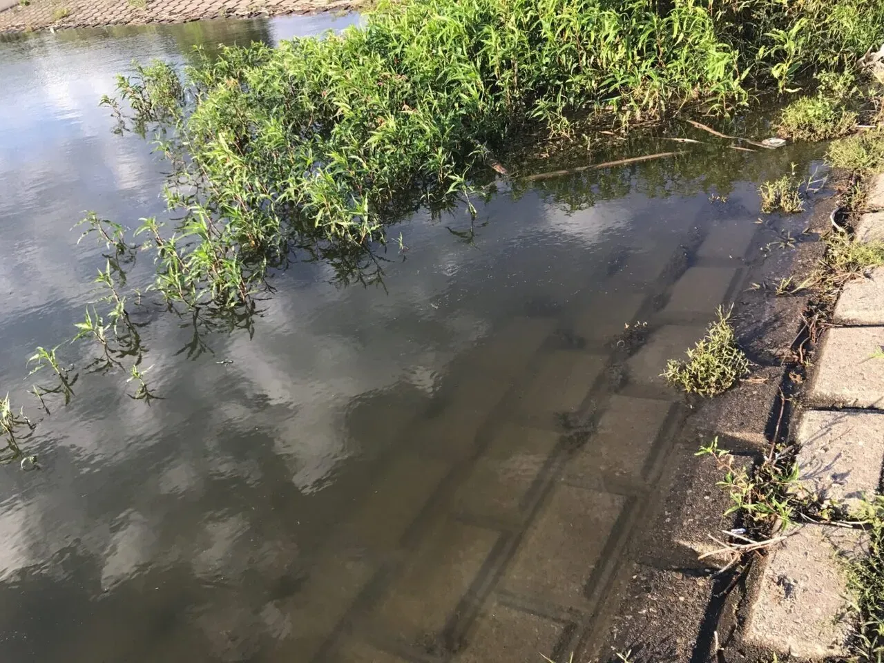 彩の国トライアスロンインA 総合5位！やったー - 画像1