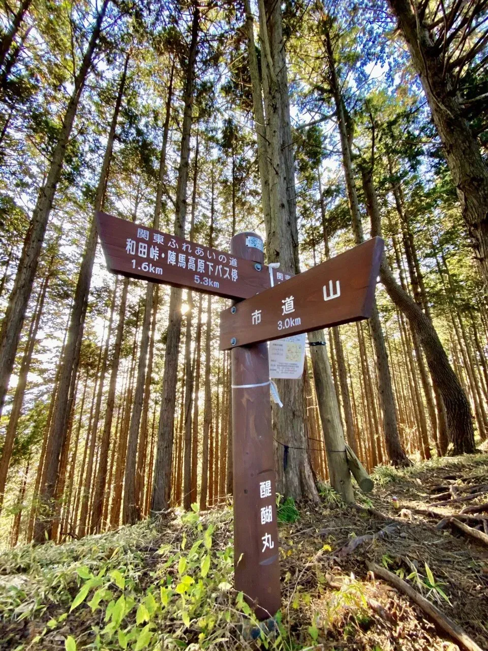 陣馬・高尾山トレランでAPRS運用 - 画像19