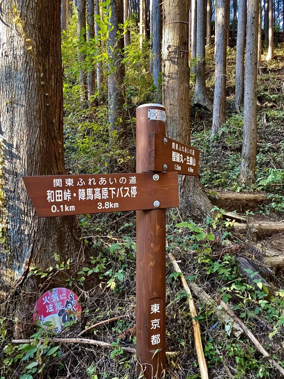 陣馬・高尾山トレランでAPRS運用 - 画像20