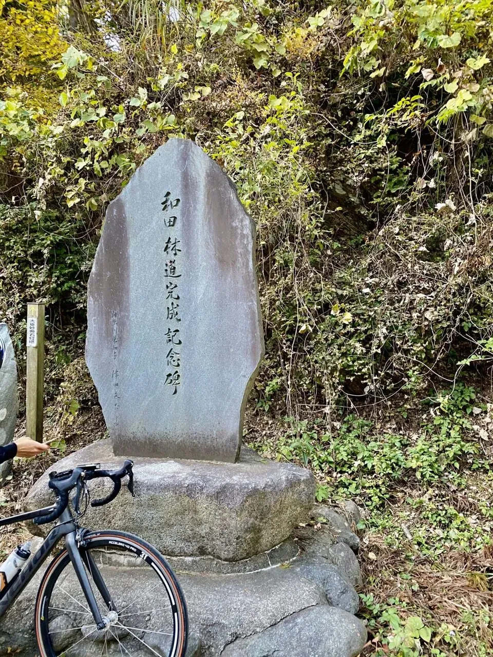 陣馬・高尾山トレランでAPRS運用 - 画像22