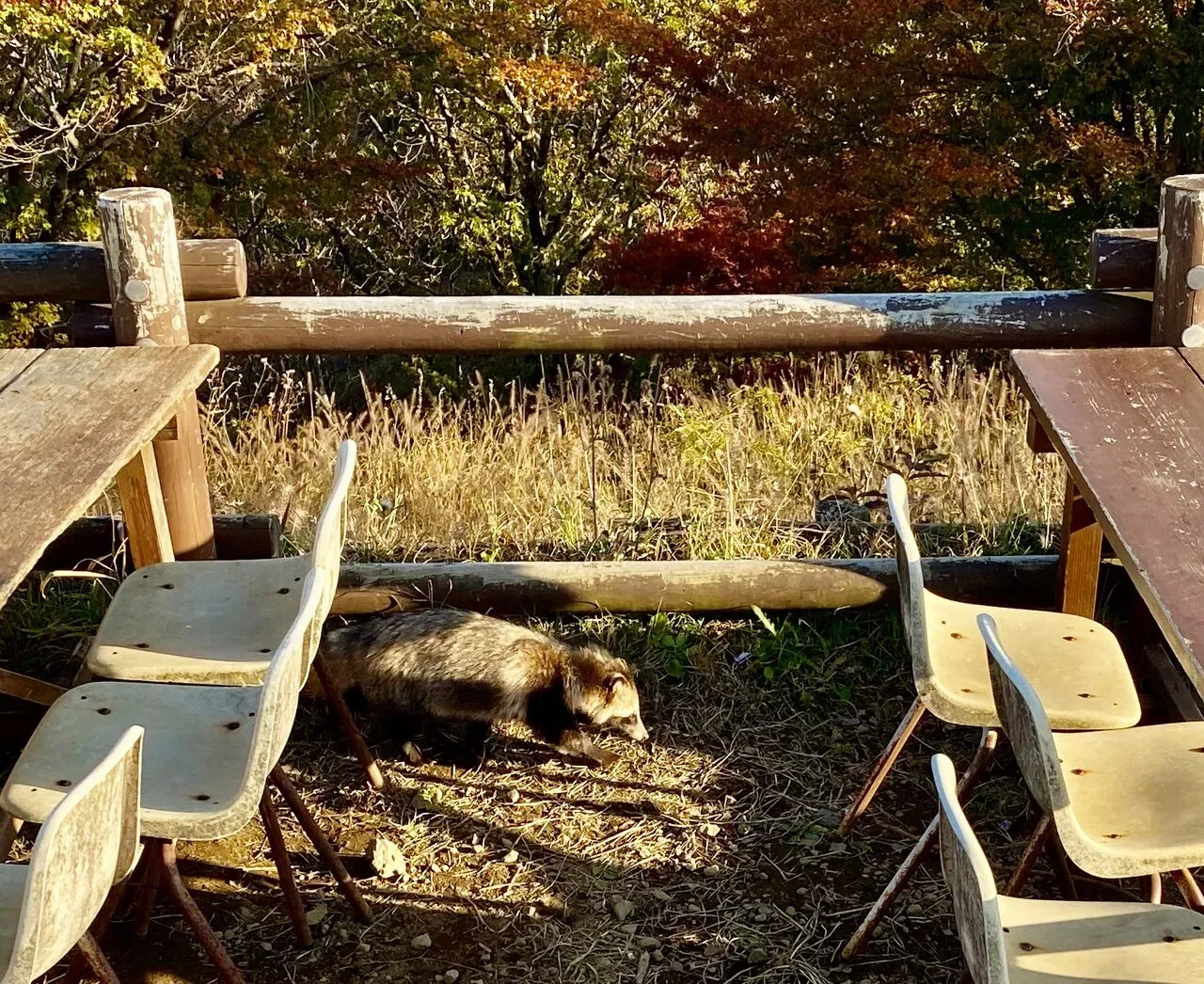 陣馬・高尾山トレランでAPRS運用 - 画像25