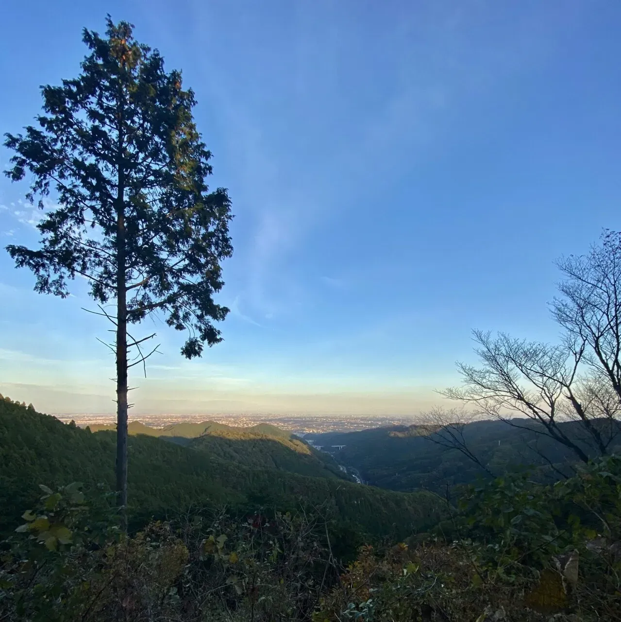 陣馬・高尾山トレランでAPRS運用 - 画像33