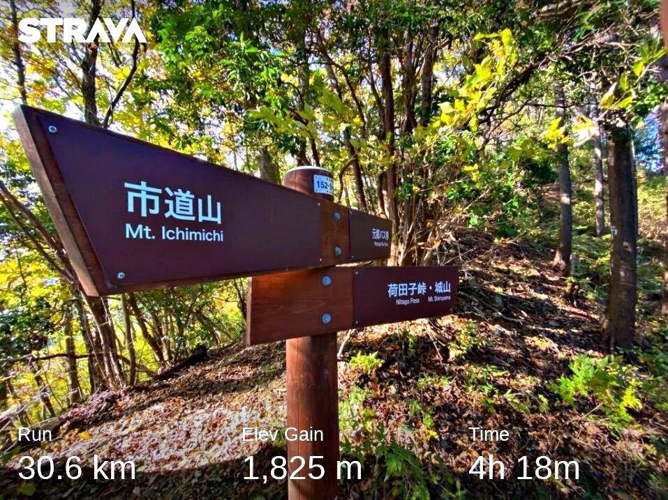 Cover Image of the Post