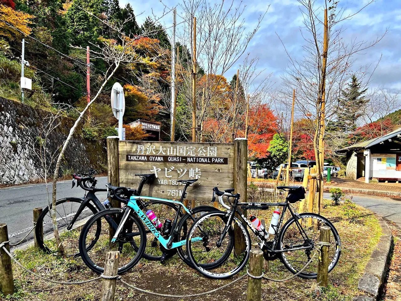 Cover Image of the Post