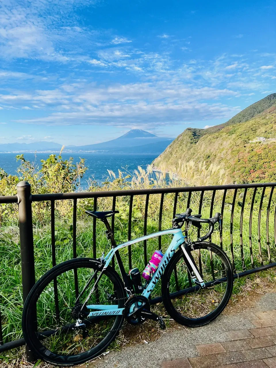 駿河湾越しの富士山とススキ、S-Worksと共に