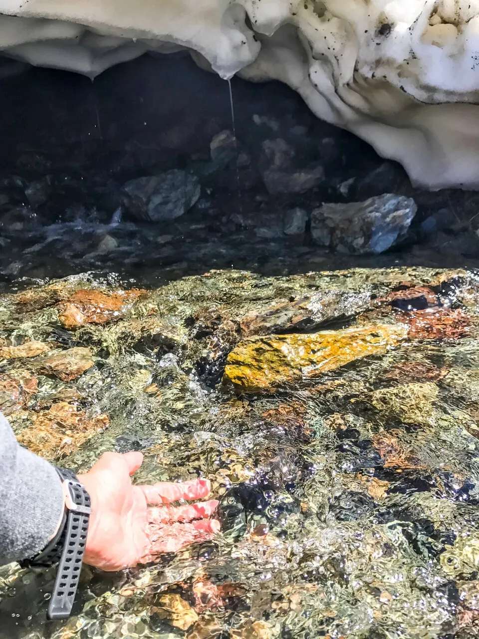 IRONMAN Canada （アイアンマン カナダ）滞在編 - 画像133