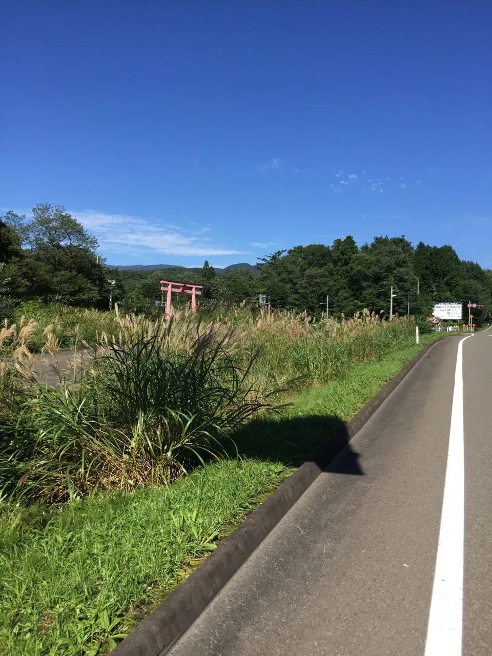 蔵王ヒルクライム入り口