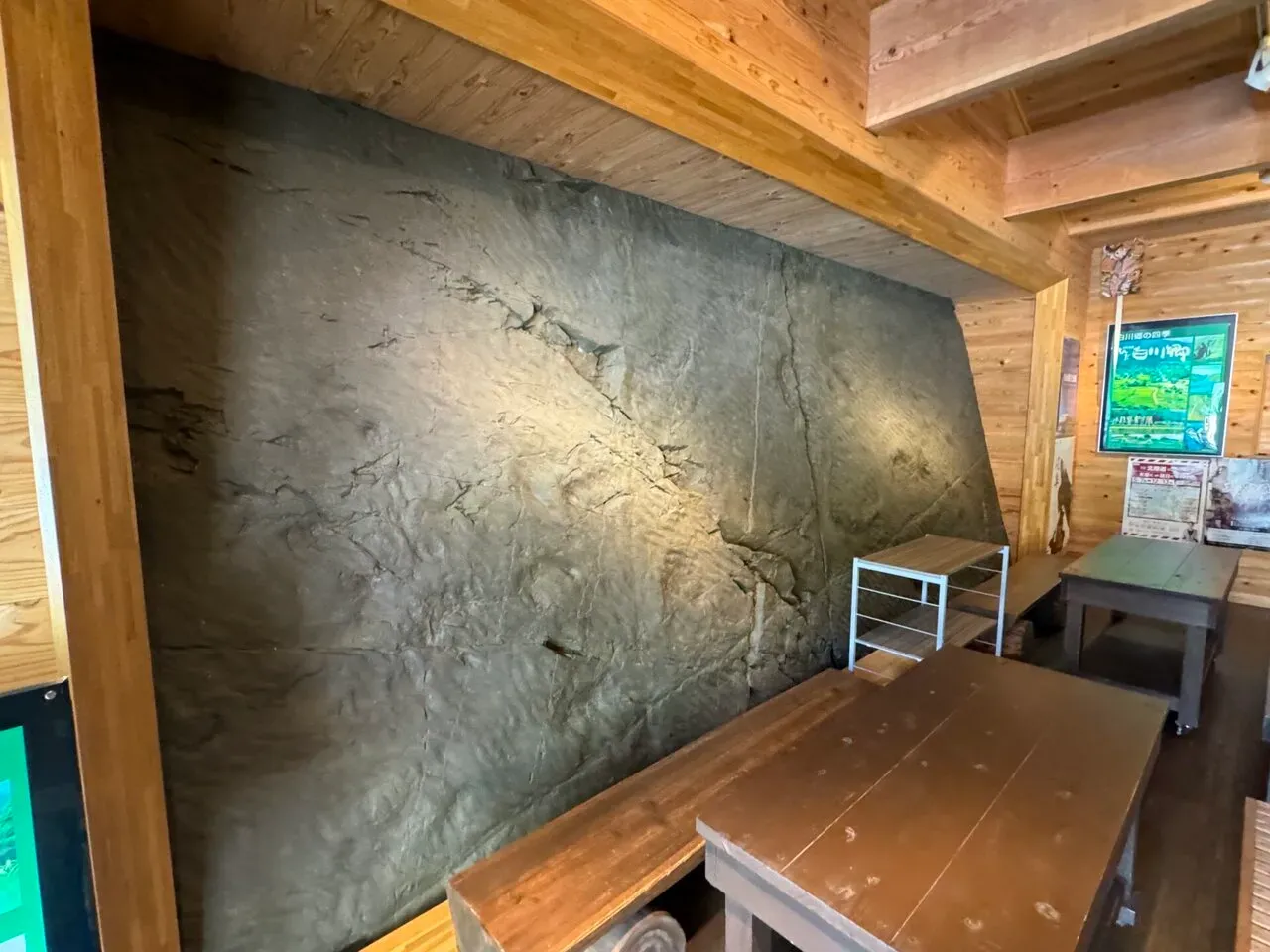 恐竜の足跡化石