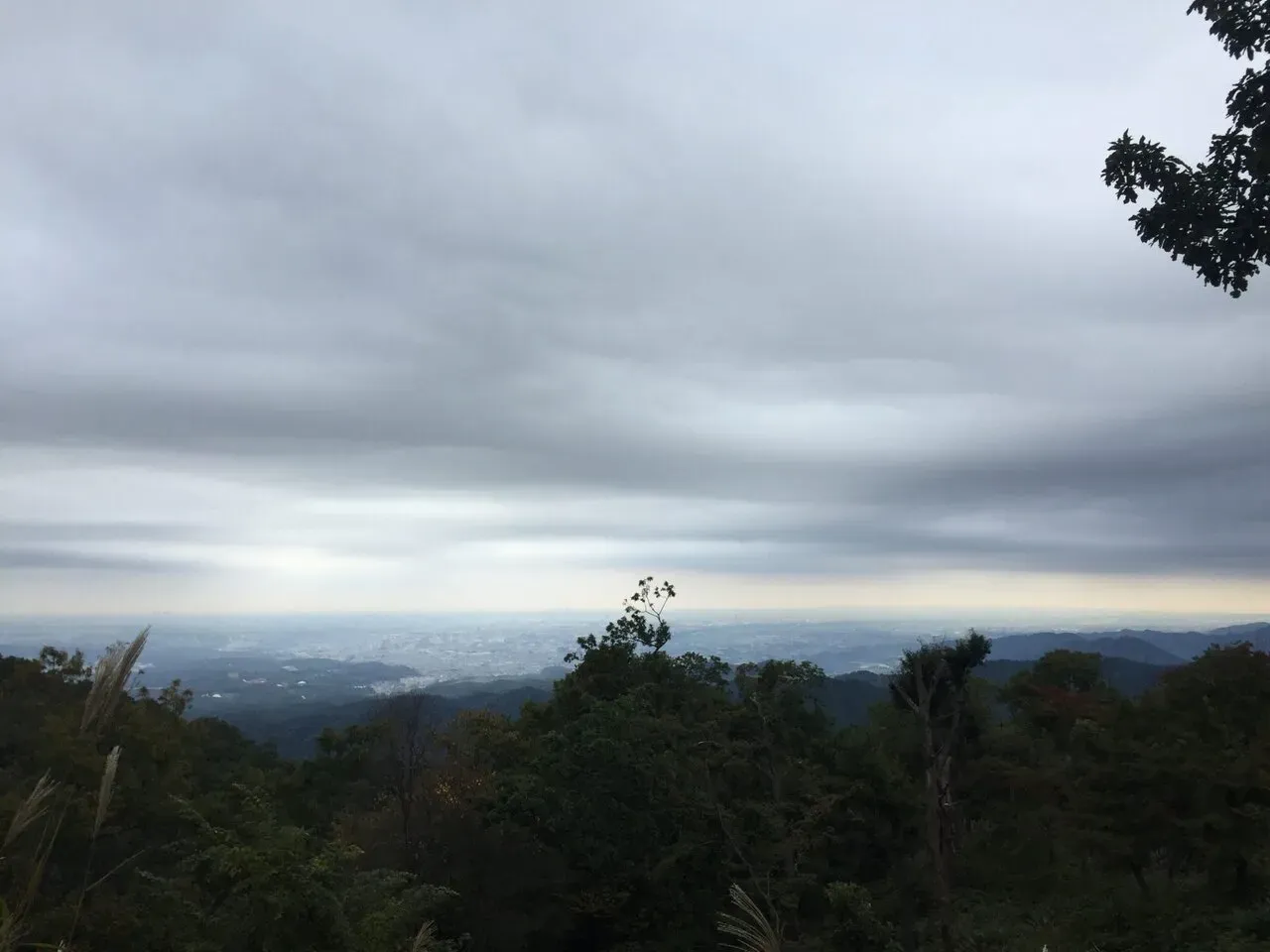 高尾山山頂