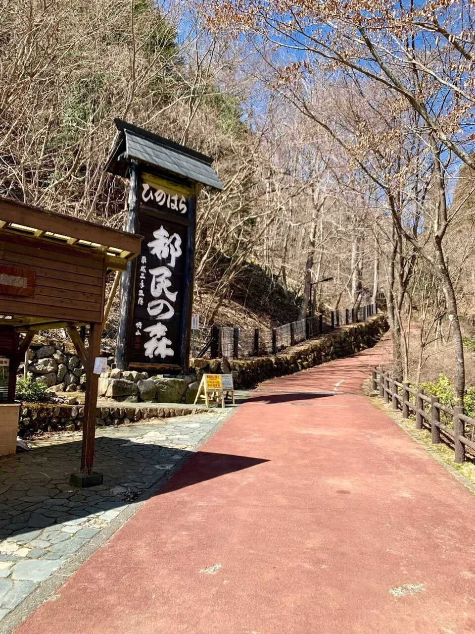 初めて都民の森にヒルクライムしに行きました - 画像7