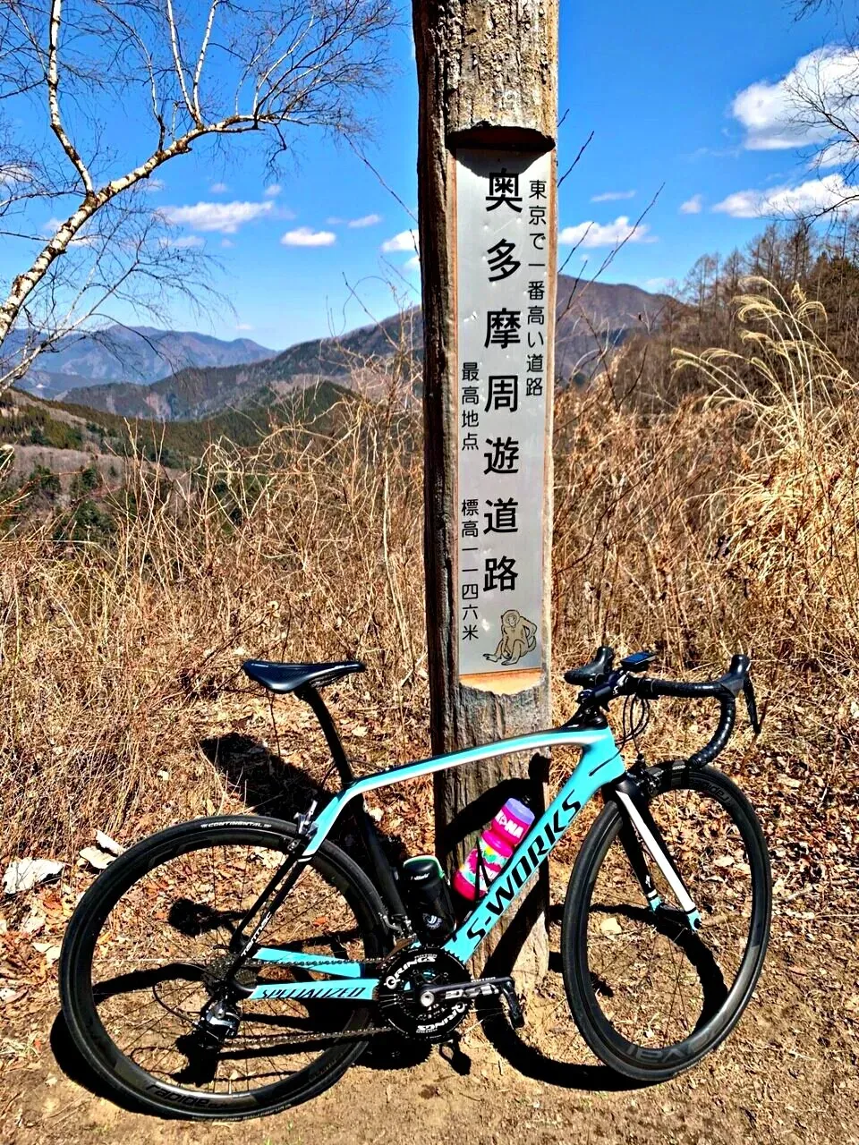 Cover Image of the Post