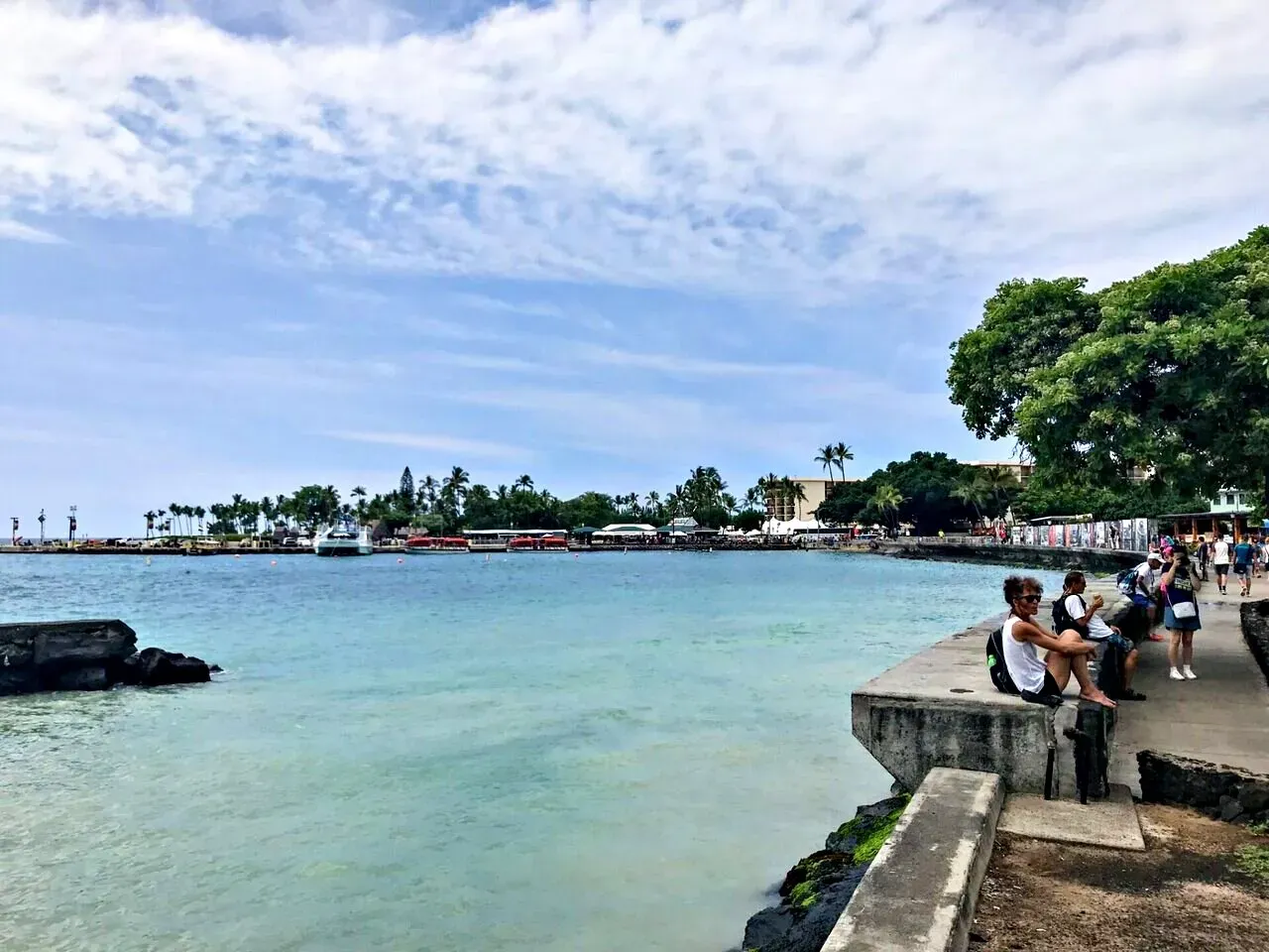 Cover Image of the Post