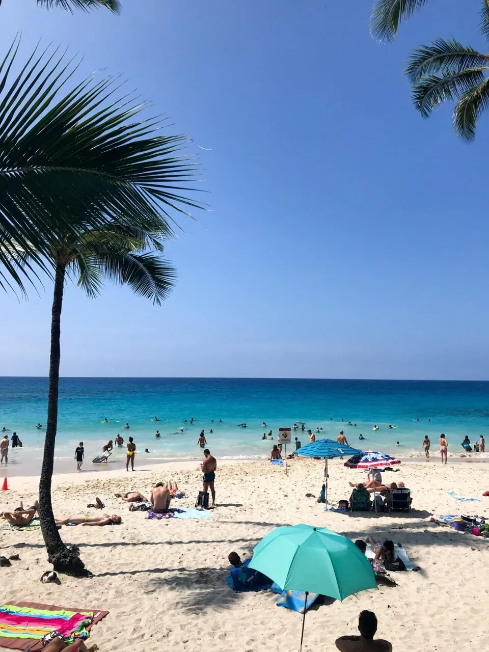 IRONMAN World Championship旅行記 (2/6)日目 - パスポートが見つかる - 画像19