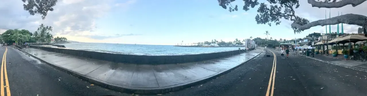 アリイドライブのパノラマ、ヤシの木と海